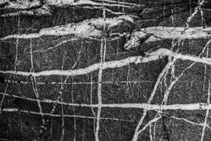 Beach Detail: Quartz Veins