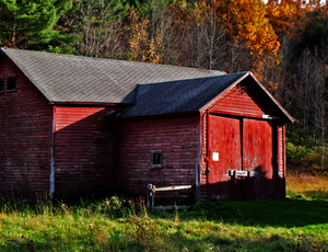 Red Barn in Field-                       Otsego County, NY