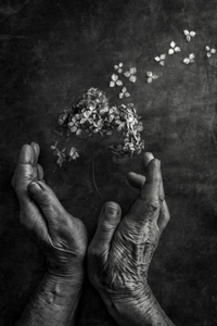 Tempus fugit