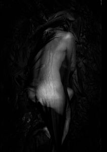 Reincarnation6