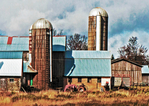 Thriving farm Delhi, NY