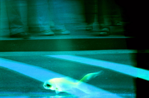 Liquid World 76
