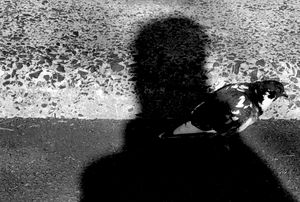 Avian Sense of the Way - Walking out of my shadow