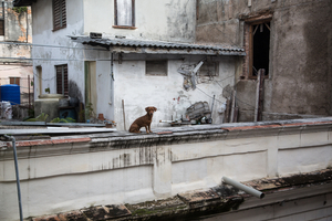 Cuba - daily life