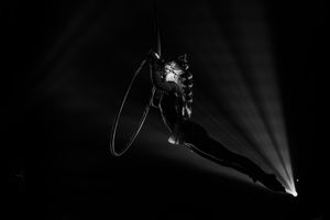 Aerial Art - Elegance - Lucioza