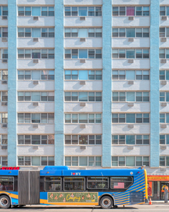 The Color of New York on the street