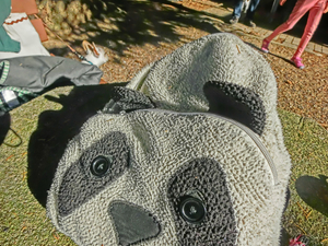 "At a Dog School" "In der Hundeschule"