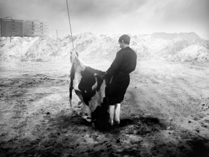 © Samad Ghorbanzadeh