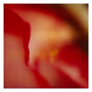 Twilight | The Secret Life of Plants II