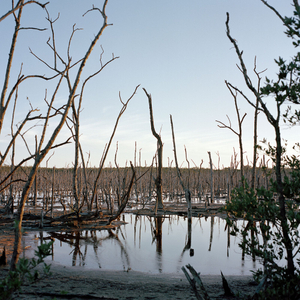 By the Old Boat, Goodland, Florida 2014