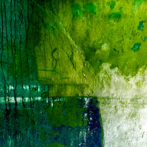 São Miguel wall (IV)