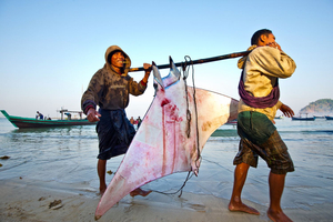 Myanmar