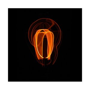 TRIBUTE TO EDISON_8