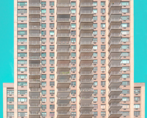Color of New York