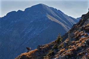 UN-12,885. Pecos Wilderness, NM.