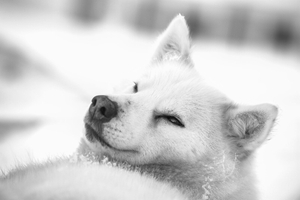 Rest