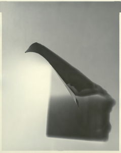 Paper negative 14