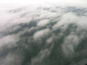 "Amazonas"