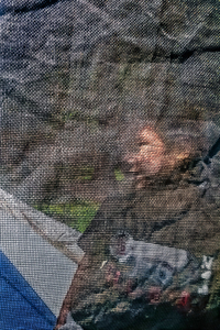 Caught in the Net