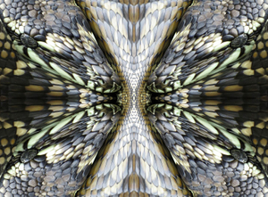 SNAKES ALIVE ( THE LIFE FORCE)