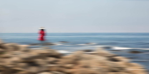 USA 17-Mile Drive 2017