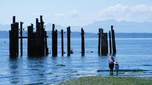 Dipping a Toe in the Salish Sea