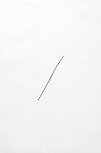 Twig on Water