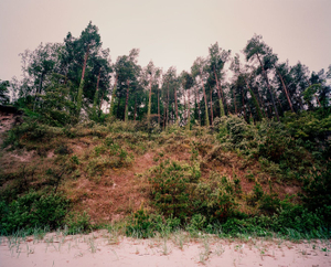 Rising © Meike Nixdorf