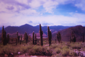 Quebrada de Cachi. Salta. Argentina