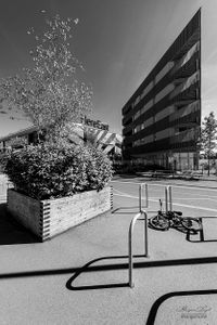Hackney Wick | 13
