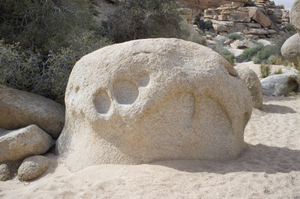 The Magical Society of Rocks #11