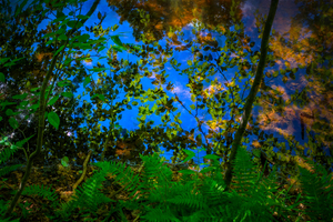 Little Pond