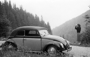 Women with Beetles
