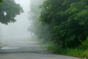 Island Road