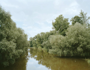 Frankfurt (Oder), 2012