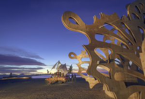 Afrikaburn Festival. South Africa.