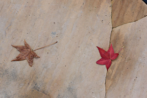 Two Fallen but not Forgotten