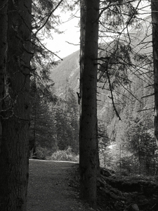 The sound of silence