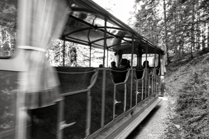 THE TRAIN