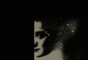 Chiaroscuro