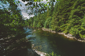 Where they found the body of Teresa Banks