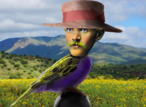 A Queer Bird Indeed