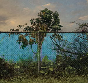 Transient Landscape # 1