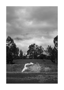 Human Nature- Namadgi - Australia #13