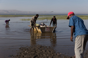 Men at Fishermen Work #8