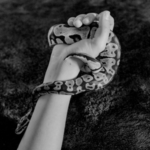 SEE ME - TWISTED
