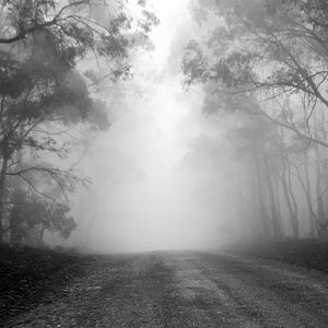 Misty Mountain Road