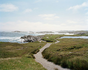 Ile Aux Morts, C-print, 24"x30"