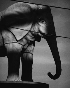 winner of photography awards