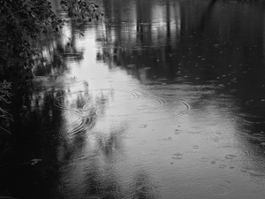 Beside the water II